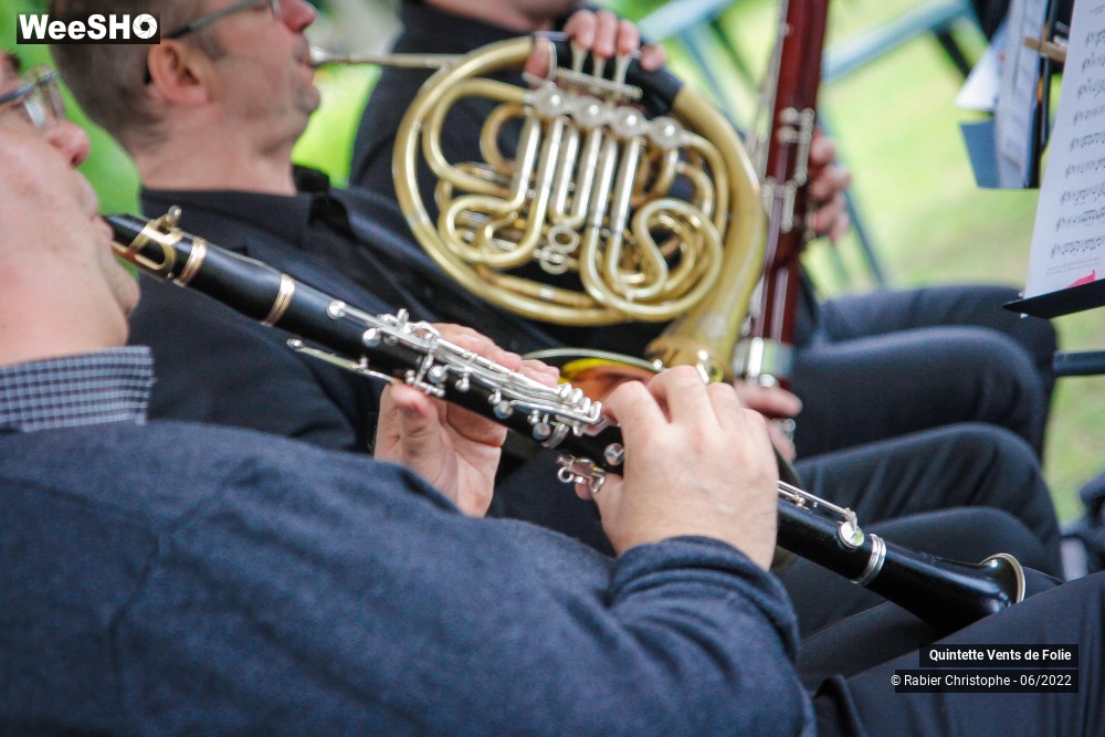 19/19 photos du spectacle Quintette Vents de Folie