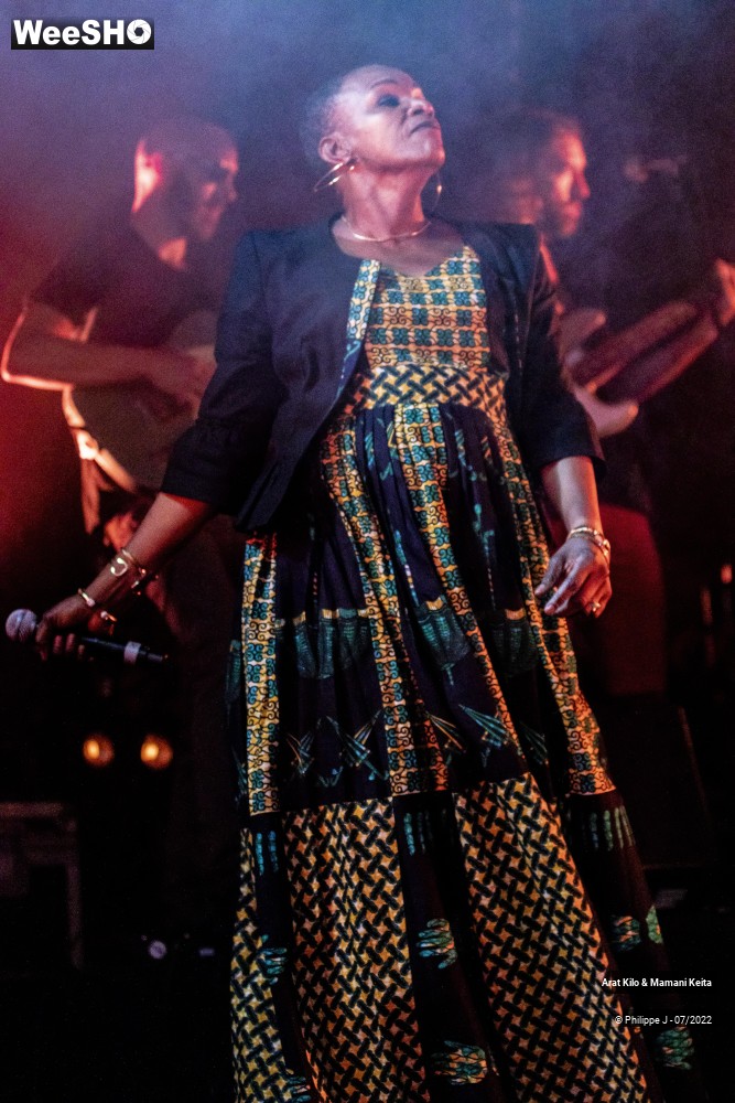 22/29 photos du spectacle Arat Kilo & Mamani Keita