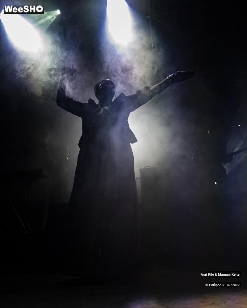 26/29 photos du spectacle Arat Kilo & Mamani Keita