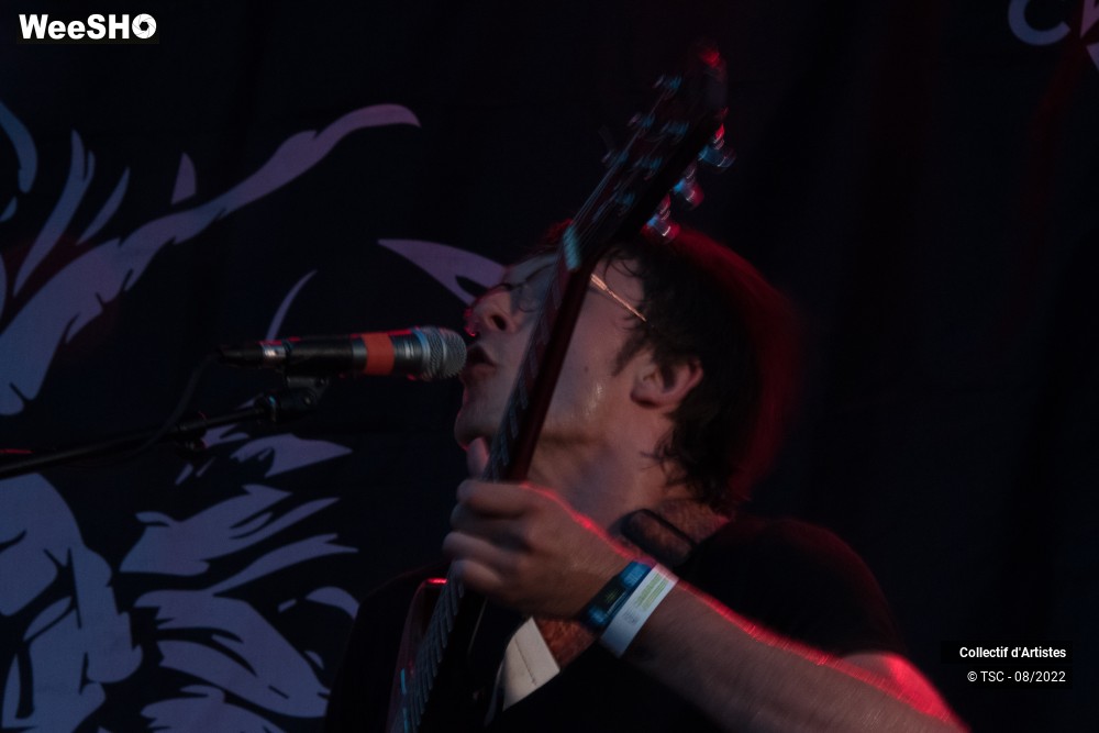 3/12 photos du spectacle Frankie & the Witch Fingers