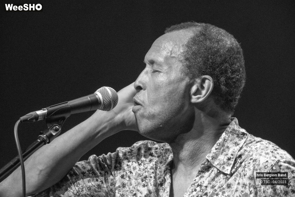 11/13 photos du spectacle Chris Bergson Band