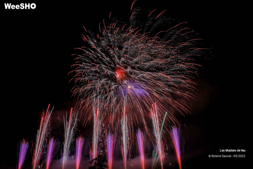 12/41 photos du spectacle Les Masters de feu 2022