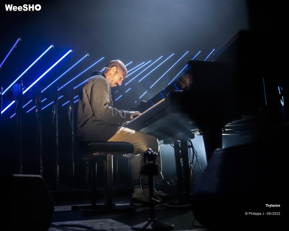 7/18 photos du spectacle Thylacine