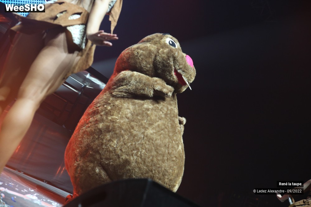 2/5 photos du spectacle René la taupe