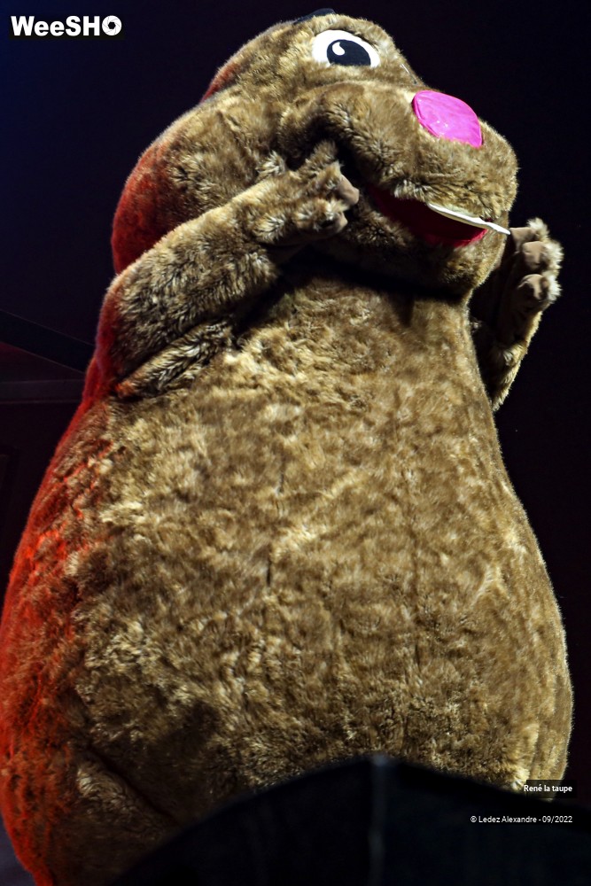 4/5 photos du spectacle René la taupe