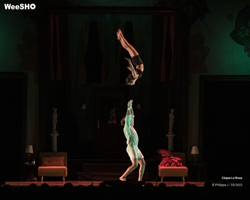 15/20 photos du spectacle La Nuit du Cerf