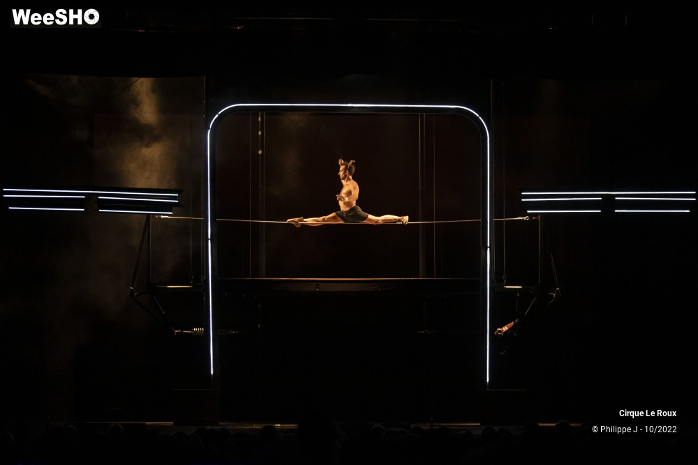 20/20 photos du spectacle La Nuit du Cerf