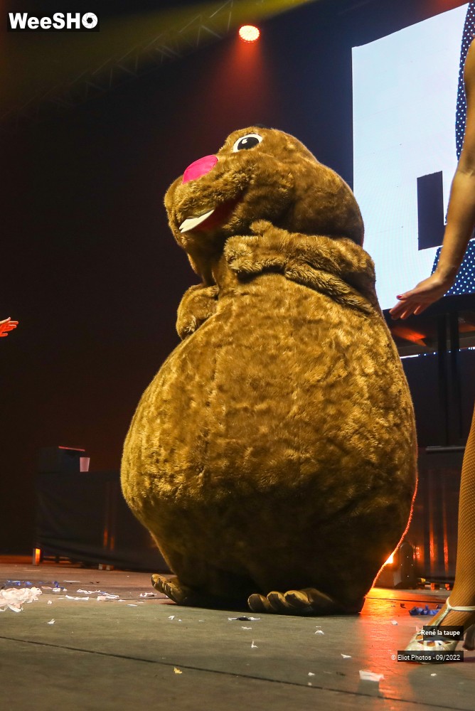 5/10 photos du spectacle René la taupe