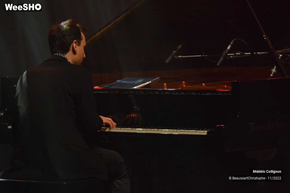 4/49 photos du spectacle Médéric Collignon