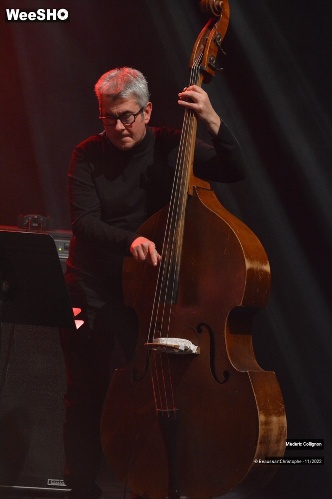 7/49 photos du spectacle Médéric Collignon