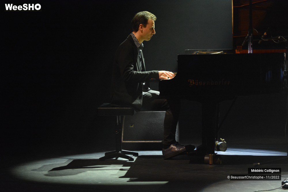 20/49 photos du spectacle Médéric Collignon