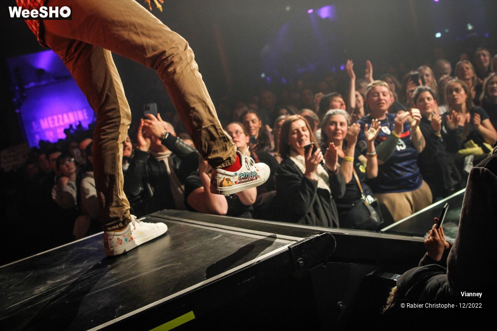 31/74 photos du spectacle Vianney