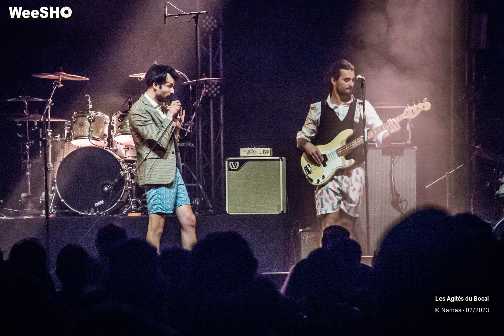 1/17 photos du spectacle Les Agités du Bocal