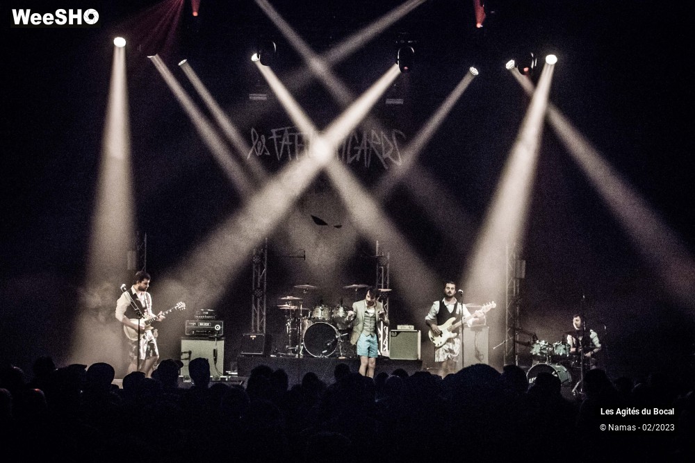 2/17 photos du spectacle Les Agités du Bocal