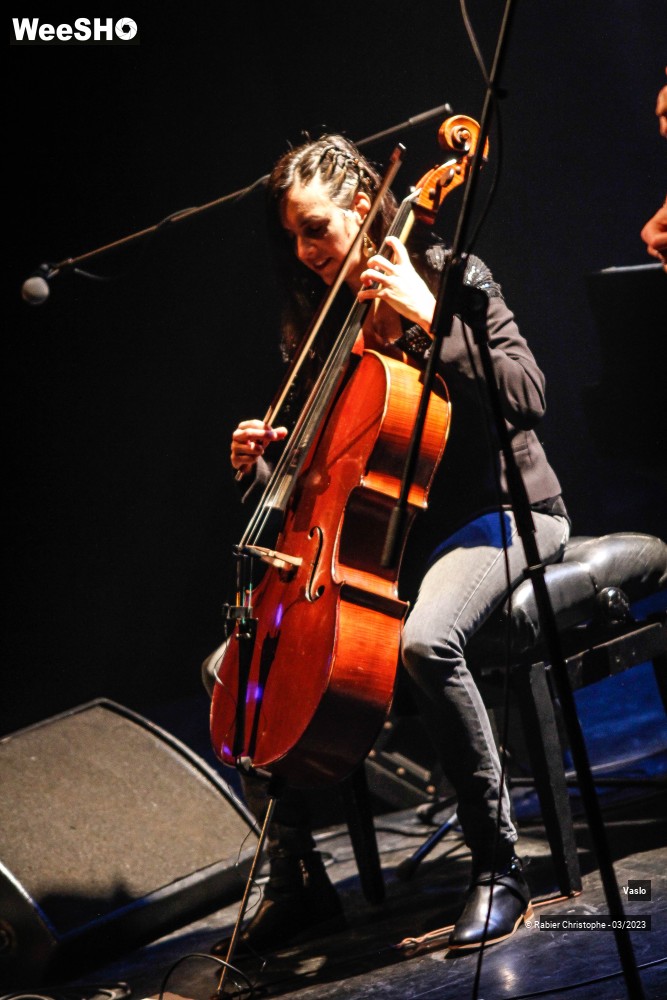 15/54 photos du spectacle Vaslo