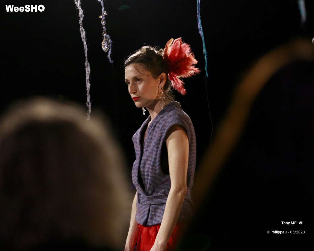 13/20 photos du spectacle Tony Melvil