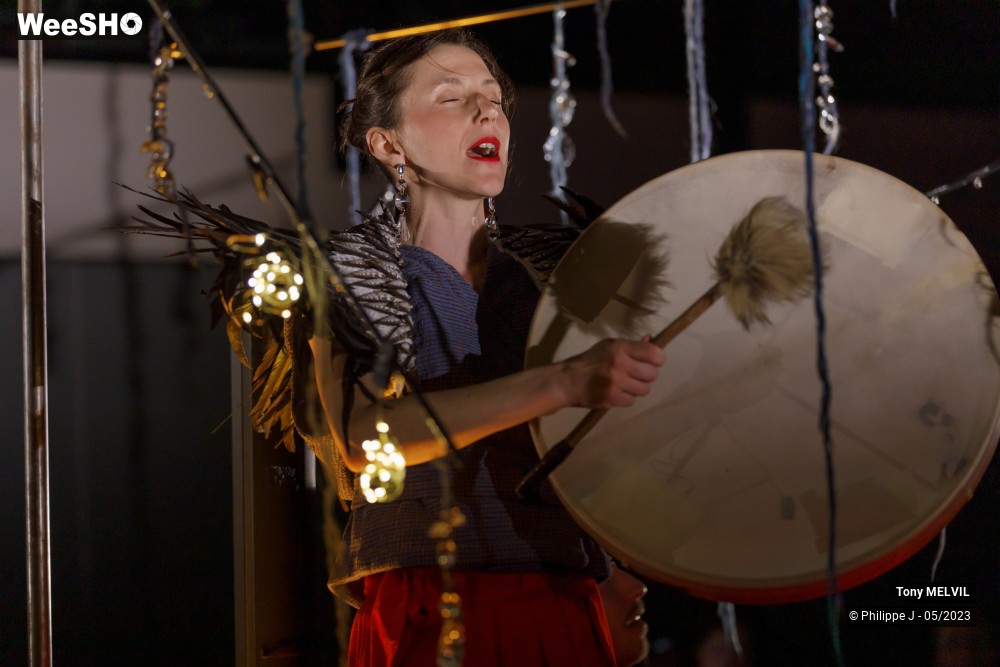 17/20 photos du spectacle Tony Melvil