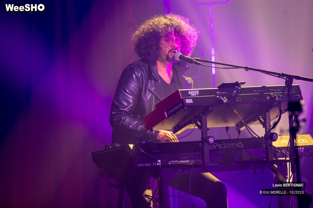 38/68 photos du spectacle Louis Bertignac