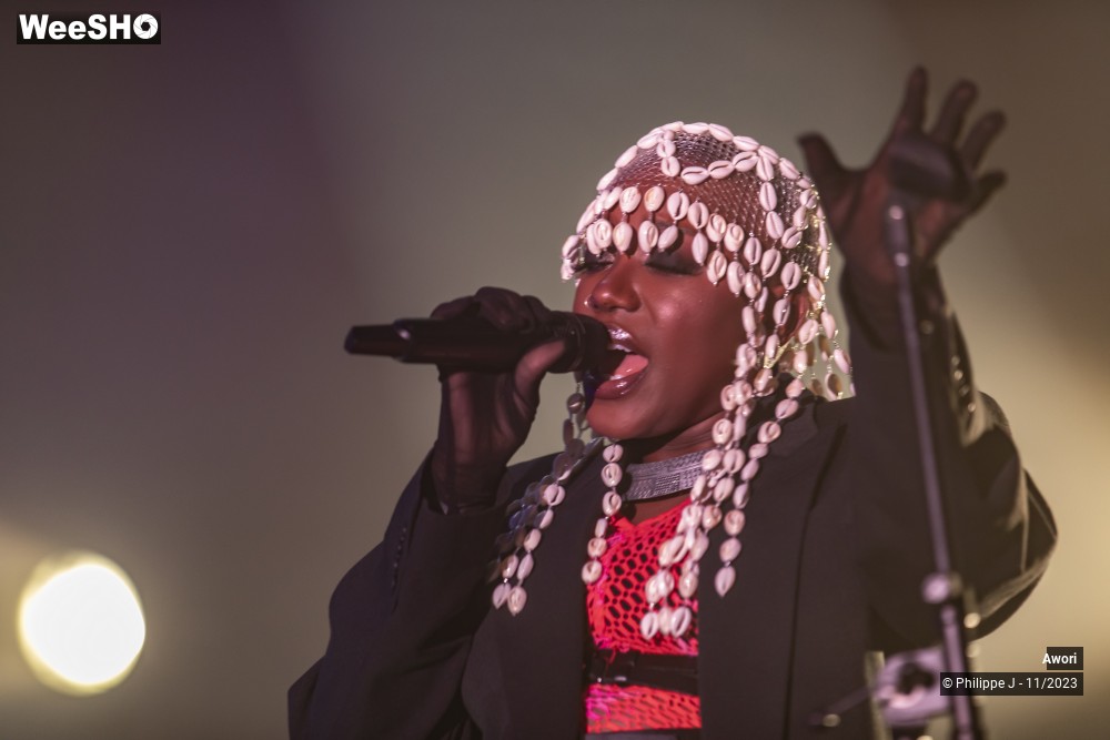 5/11 photos du spectacle Awori