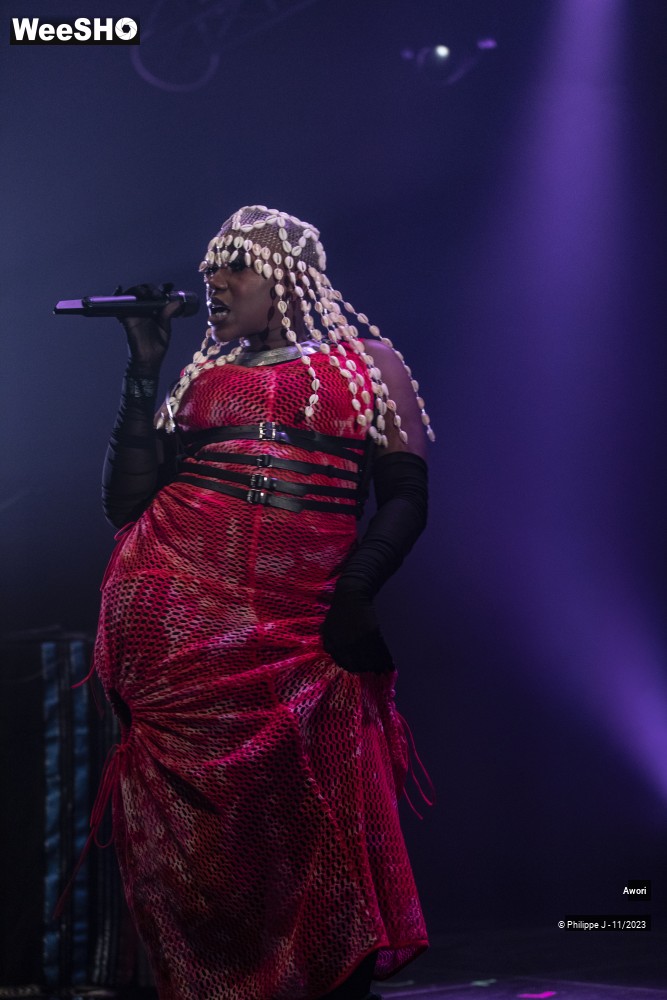 10/11 photos du spectacle Awori