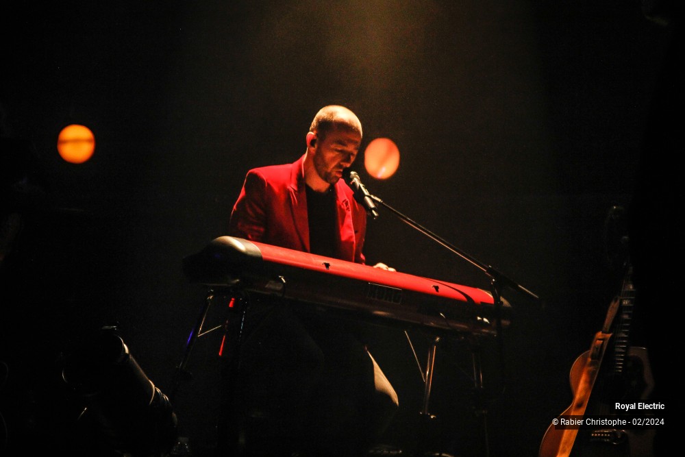 8/45 photos du spectacle Royal Electric
