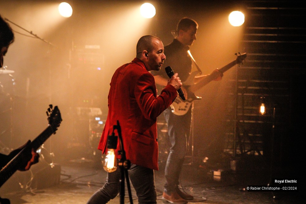 26/45 photos du spectacle Royal Electric