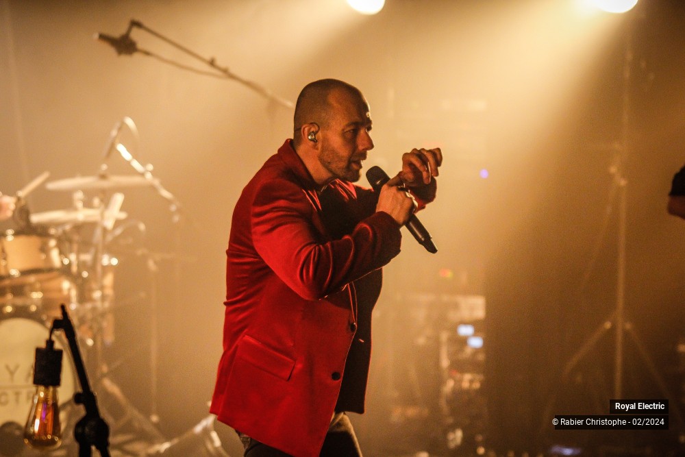 28/45 photos du spectacle Royal Electric