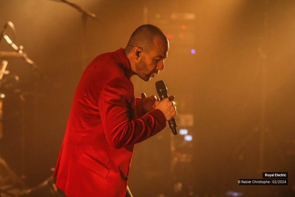 29/45 photos du spectacle Royal Electric