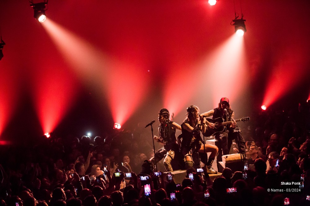 3/14 photos du spectacle Shaka Ponk