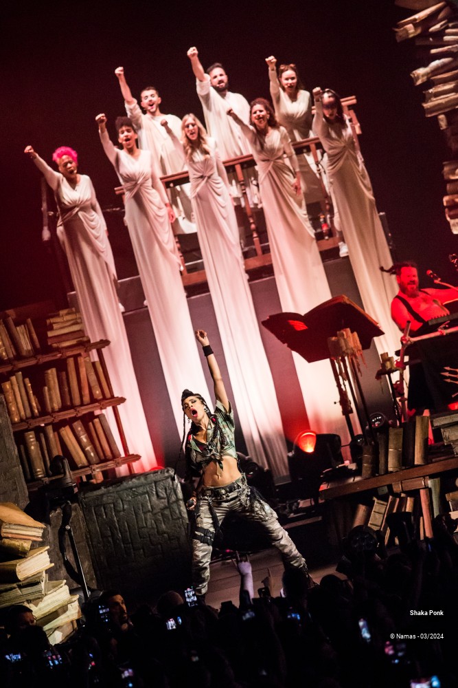 5/14 photos du spectacle Shaka Ponk