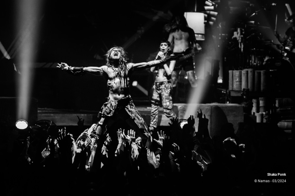 11/14 photos du spectacle Shaka Ponk