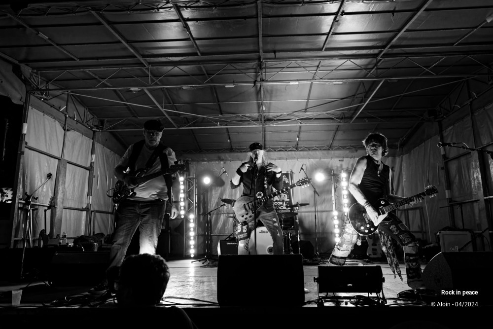 17/26 photos du spectacle Rock in peace