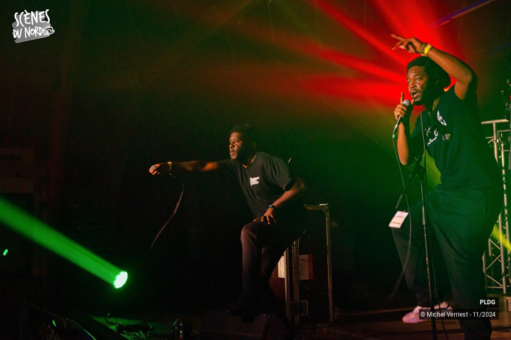 6/20 photos du spectacle PLDG (Pour L'amour Du Groove)