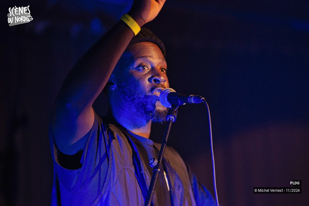 11/20 photos du spectacle PLDG (Pour L'amour Du Groove)