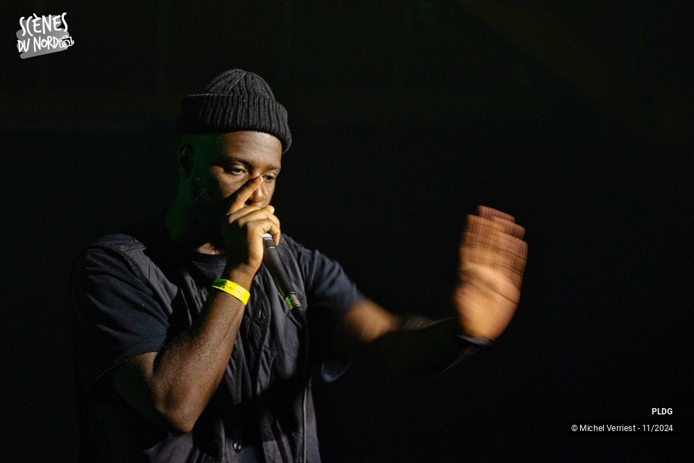 13/20 photos du spectacle PLDG (Pour L'amour Du Groove)