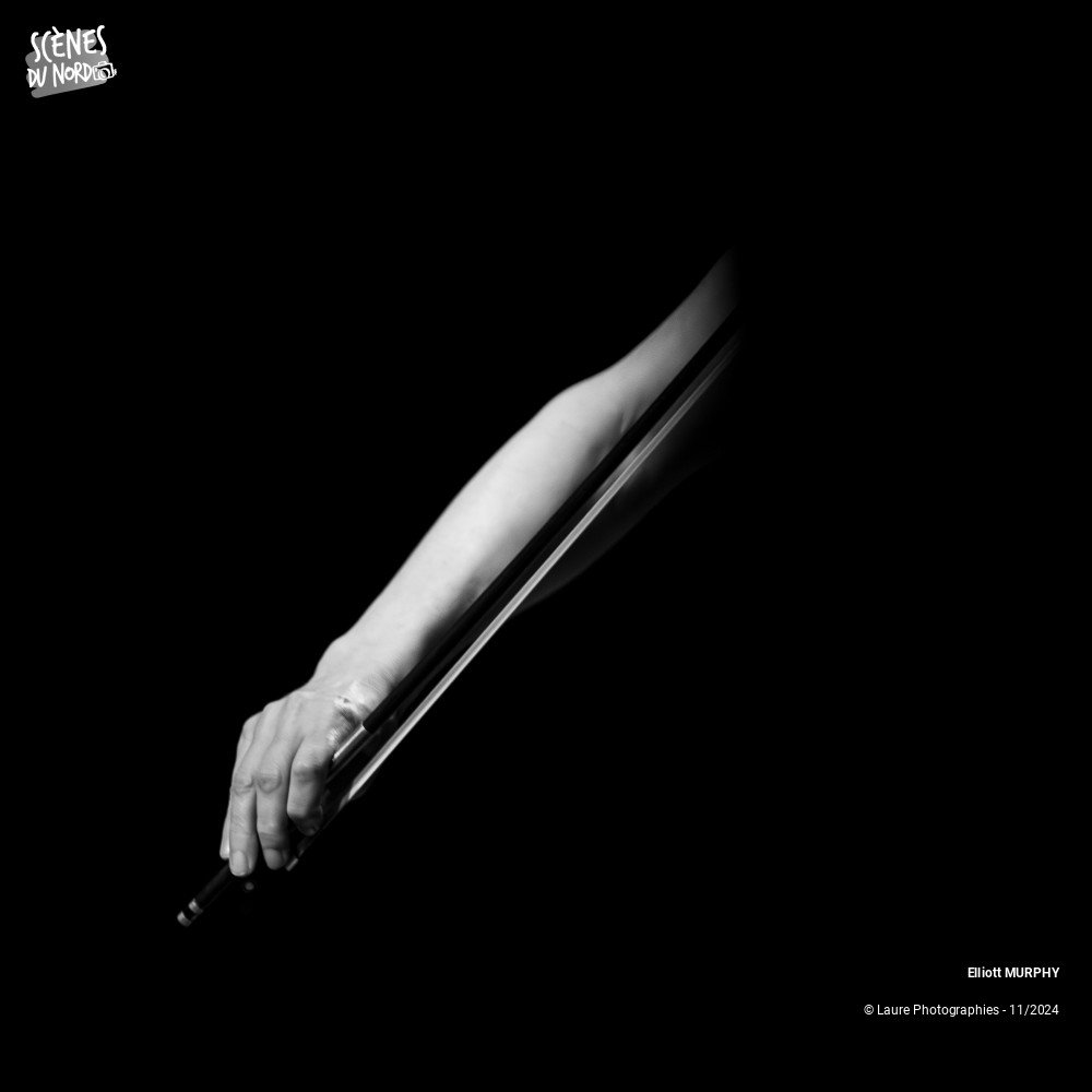 10/20 photos du spectacle Elliot MURPHY