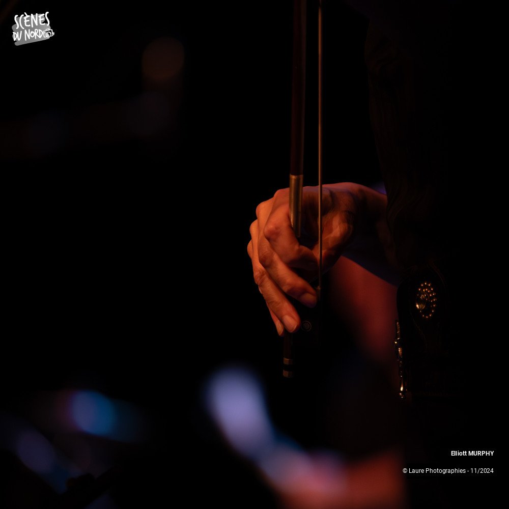 11/20 photos du spectacle Elliot MURPHY