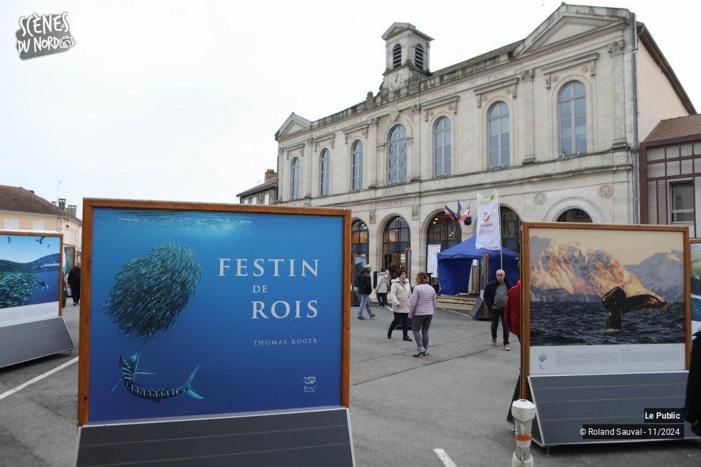 1/20 photos du spectacle Festival international de la photos  animalière et de la nature