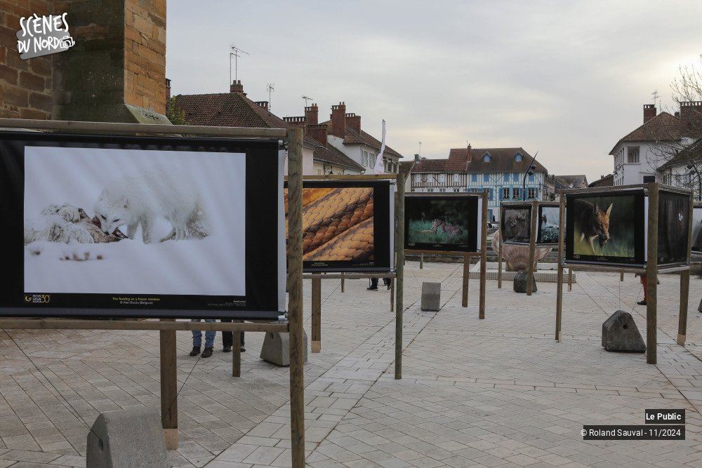 3/20 photos du spectacle Festival international de la photos  animalière et de la nature
