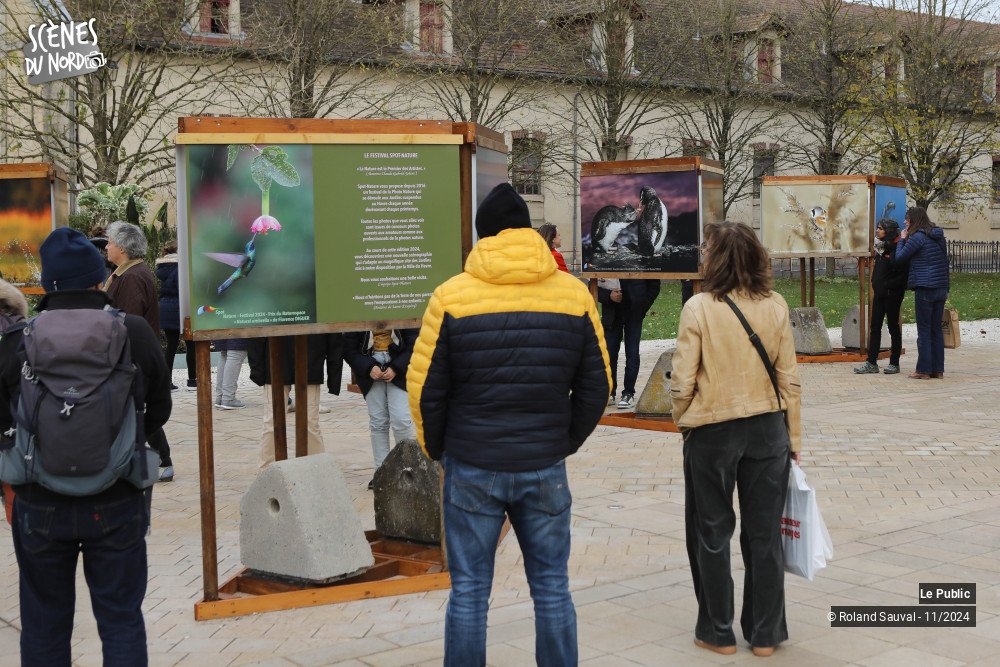 4/20 photos du spectacle Festival international de la photos  animalière et de la nature