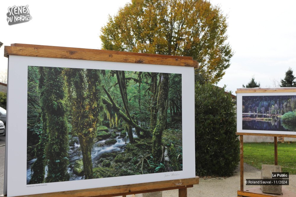 13/20 photos du spectacle Festival international de la photos  animalière et de la nature