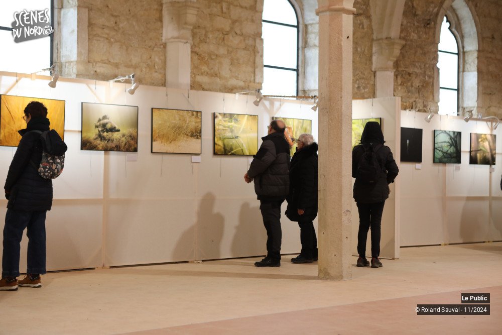 19/20 photos du spectacle Festival international de la photos  animalière et de la nature