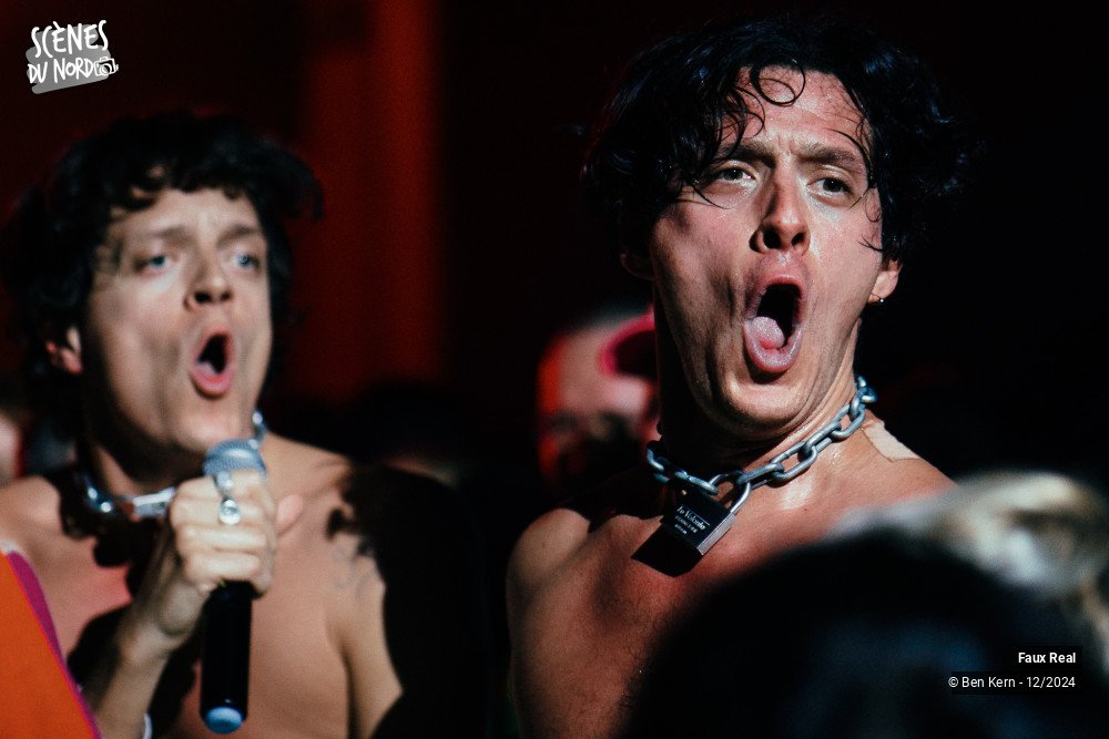 3/8 photos du spectacle Faux Real