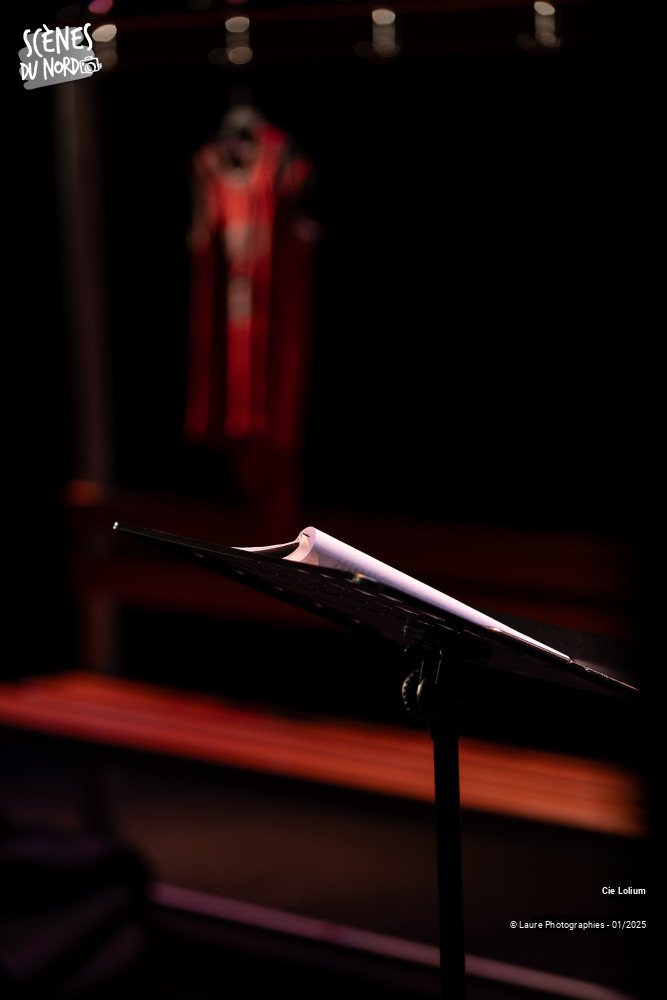 13/20 photos du spectacle Le Syndrome du Spaghetti