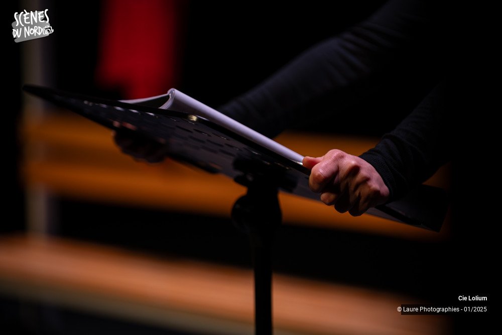 15/20 photos du spectacle Le Syndrome du Spaghetti