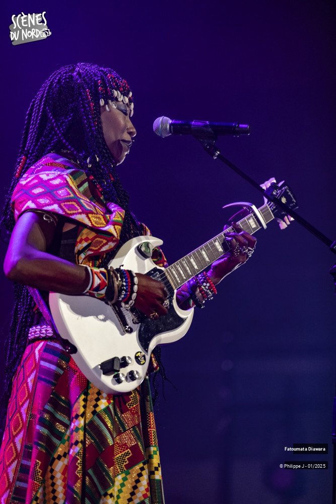 11/17 photos du spectacle Fatoumata Diawara