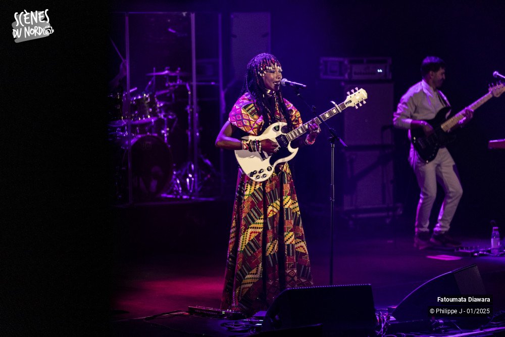 13/17 photos du spectacle Fatoumata Diawara
