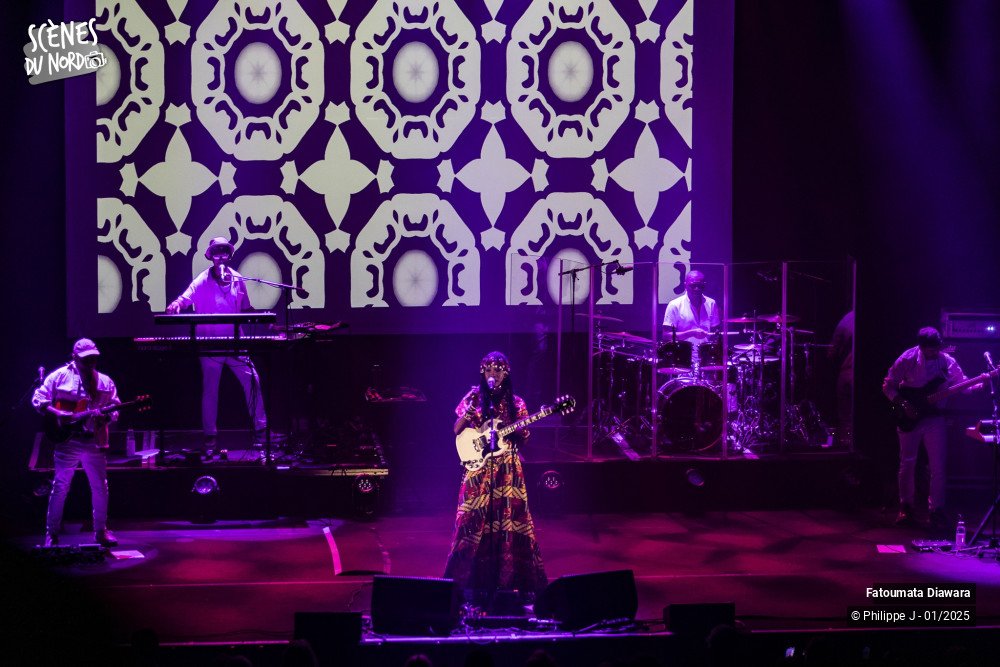 14/17 photos du spectacle Fatoumata Diawara