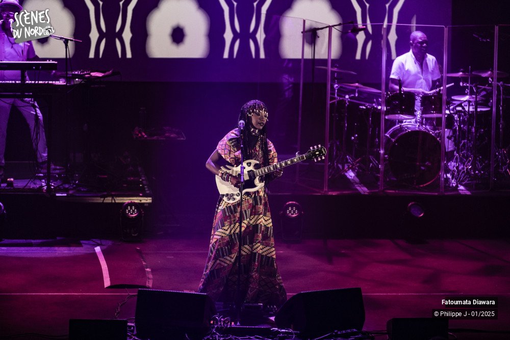 15/17 photos du spectacle Fatoumata Diawara