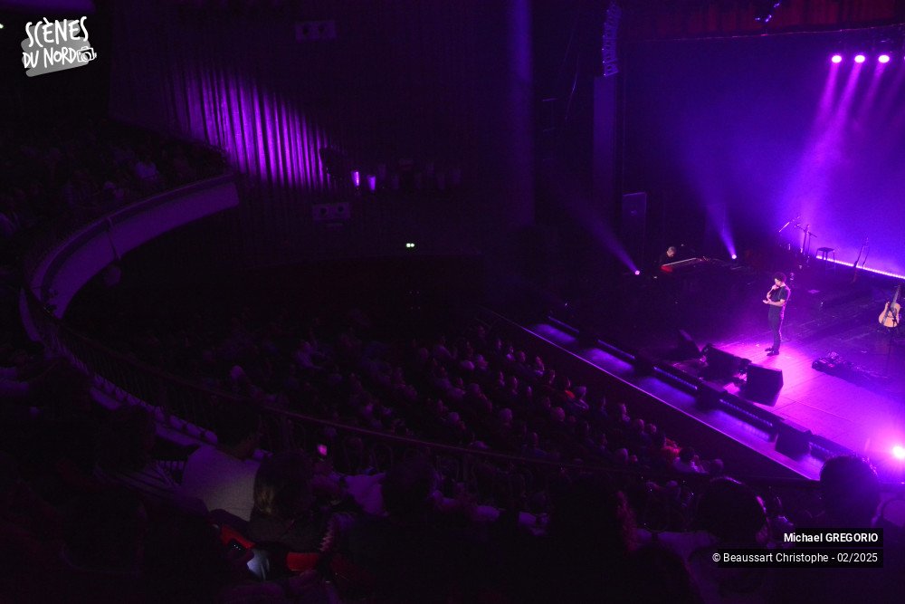 6/10 photos du spectacle Michaël Gregorio